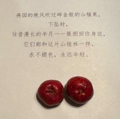 【含剧透】
剧本名称:永不褪色的山楂林
时长:7h
人物配置