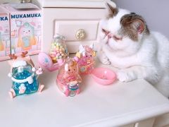 可可爱爱❤️