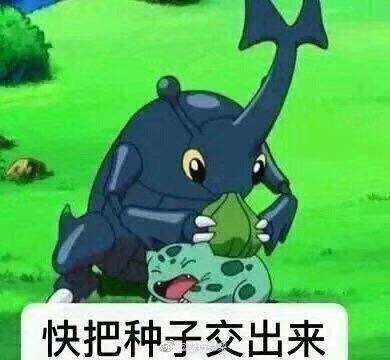 帖子封面图