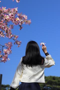 月野house茶羽中
总评:我愿称之为水手服的天花板!!!真
