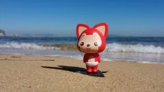 和狸🦊 在一起的时光～我们看花🌸 ，看海🏝 ，看许多的