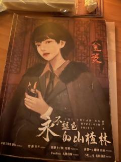 【含剧透】《永不褪色的山楂林》 ——那时,爱很克制,恨却张扬