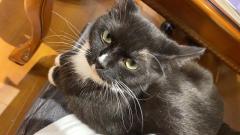 【含剧透】
世界上只有一种病,穷病,这种病,你没得治,也治不