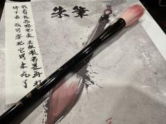 选到适合自己的本还是很重要5555一刷酒壶我真爱死,亲友爱我