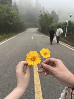 很可惜,这次我们明明已经爬上了山顶,却没能看到日出。光影从指