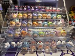 崽崽大军，异色兔多了一只，有换异色狗+的嘛