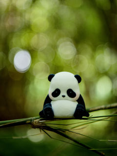 熊猫滚滚🐼Panda Roll🎋大肚腩🐼

这不是肚肚