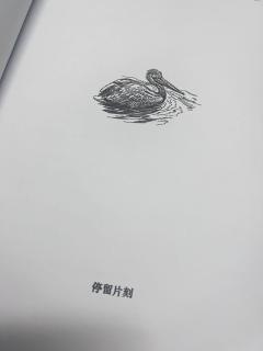 我以为剧本杀至少是一种创作。
我以为是创作至少会有底线。