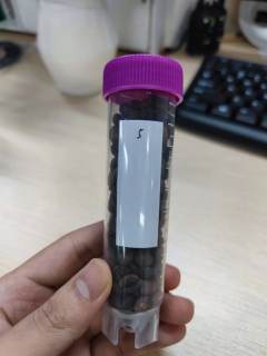 鹰哥投喂之盲盒隐藏款~

豆香：淡淡白黄色花香＋莓果类甜感
