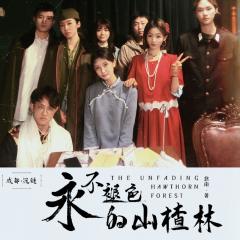 《永不褪色的山楂林》--就像列车上上演的一部电影,短短的几小