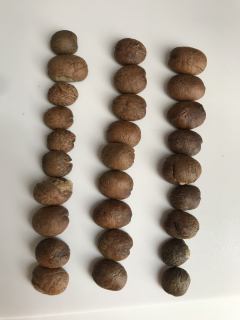 肯尼亚SL28SL34风味描述葡萄酒，黑醋栗，黑莓
之前有喝