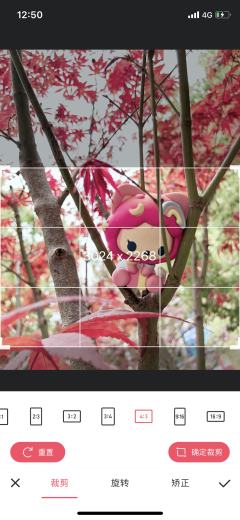 枫树上的彩虹桃
先将阿狸摆放上树(这一点其实比较随机,找一个