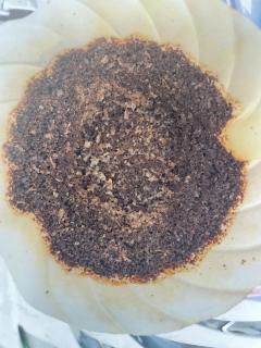 肯尼亚选手，我好像找到生瓜蛋子来源了。来自藏哥的换豆大成功。