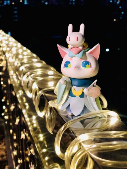 猫咪在我家空中花园臭美一下😍🥰