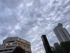 【含剧透】
久闻《黑日》之大名，在《白夜》之前终于补课打上了