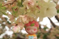 春日游 杨花飞絮缀满头🌸🌸🌸