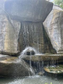【含剧透】
“苍山多歧路,谁识少年心”
明穗一生韶华,有恩