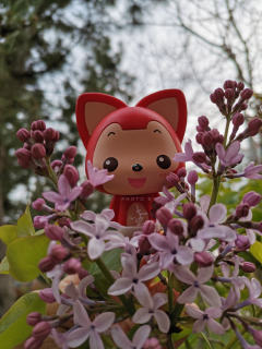 和狸🦊 在一起的时光～我们看花🌸 ，看海🏝 ，看许多的