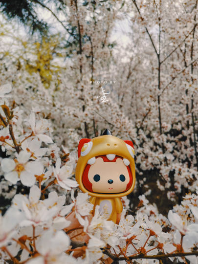 和狸🦊 在一起的时光～我们看花🌸 ，看海🏝 ，看许多的风景🌌 ，日出🌄 日落🌅 ，观海🏖 听涛🌊 。