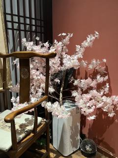 【含剧透】

        这次的伯符真的叼着狗尾巴草从天