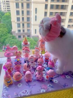 这个差不多都算粉红💓色系吧，也不知道我有没有色盲😂😂�