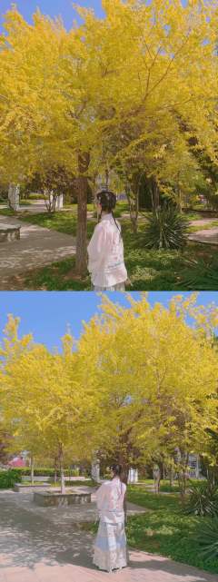 拍摄设备:荣耀30
深陷:164/53
是兰家的望水云鹤
第