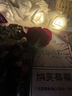 ——以纳芙蒂蒂之名,赐予你力量!
《洗劫伦敦所有的玫瑰》🌹
