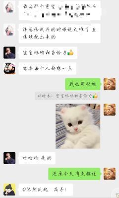 “作者不详的豪门人物关系在红黑馆中醒来”


不愧是灰烬，能