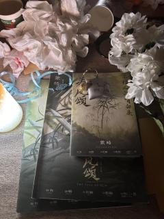 【含剧透】
《秦风颂》
“小芷不知道什么是爱,只知道每次采花
