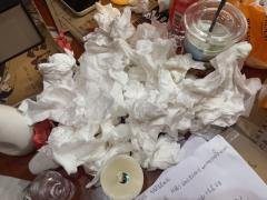 青川【宁岚cp】🌬🌷🪴駺达少主宁岚不嫁不喜欢之人🎠