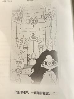 最近几月成都的玫瑰都被洗劫完了!
这城市里神秘的玫瑰大盗到底