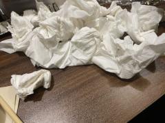 “试问卷帘人,却道海棠依旧。知否,知否?应是绿肥红瘦。”