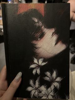 今年打过最特别、最有新意的本。
店铺: @一叶落日剧本创意