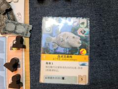 广州153桌游-《方舟动物园》积分赛决赛战报

8月19日1