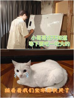 🍁综合体验5.8分🍁

📚弁言📚
1️⃣以上评分是综