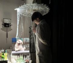 “黎明是短暂的相遇,和漫长的道别。”
8.4女寒蝉版:
d