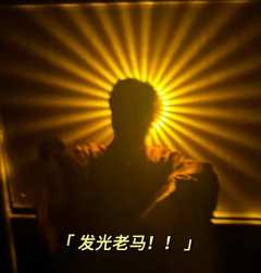 剧本:与神同行
类型:还原 立意 微恐
角色:文鸟(悠)
d