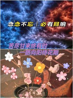 🍁综合体验8.1分🍁

📚弁言📚
1️⃣以上评分是综