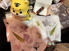 【无剧透放心食用】念念不忘,必有回响
先回答2个问题:
1、