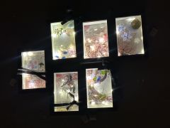 离歌,你真的学会放下了吗?
叠甲六连击————
🔸芸茴这男