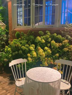 我找到了全世界，我找到了我自己。

————【剧本信息】——