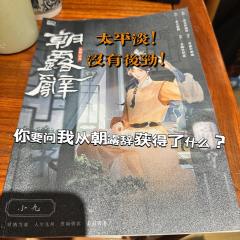 什么都想写,但又什么都很淡
你要问我从朝露辞获得了什么东西