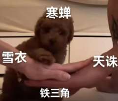你的一瞬就是我的一生。
史书会并排书写我们的名字，记录我们的
