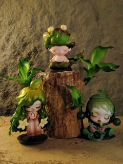 DIMOO冥想和巴西木真的绝配，我养了一个月的巴西木终于长得