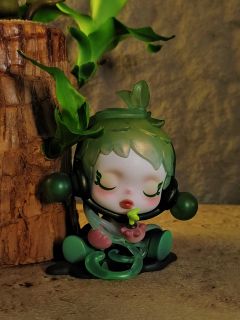 DIMOO冥想和巴西木真的绝配，我养了一个月的巴西木终于长得