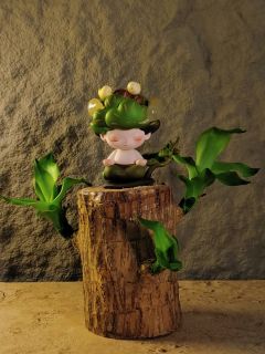 DIMOO冥想和巴西木真的绝配，我养了一个月的巴西木终于长得