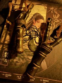 谁说,西夜的黄沙,吹不落上京城的梨花。
类型:古风 架空