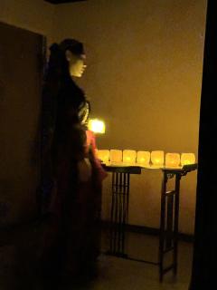 谁说,西夜的黄沙,吹不落上京城的梨花。
类型:古风 架空