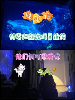 🍁综合体验6.9分🍁

📚弁言📚
1️⃣以上评分是综