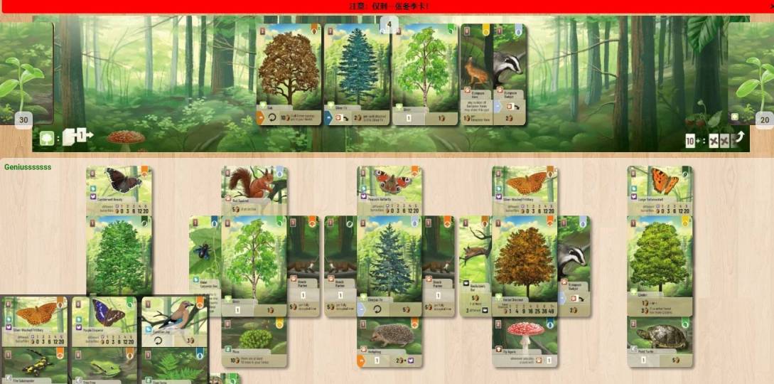 规则简单，每次就是摸2张牌或打1张牌，打牌需要支付其他手牌为｜千岛